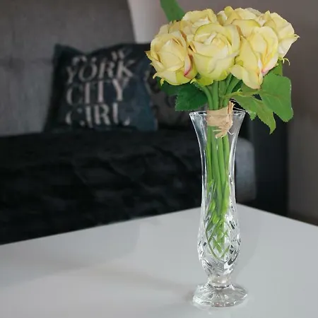 Apartment Antonia *